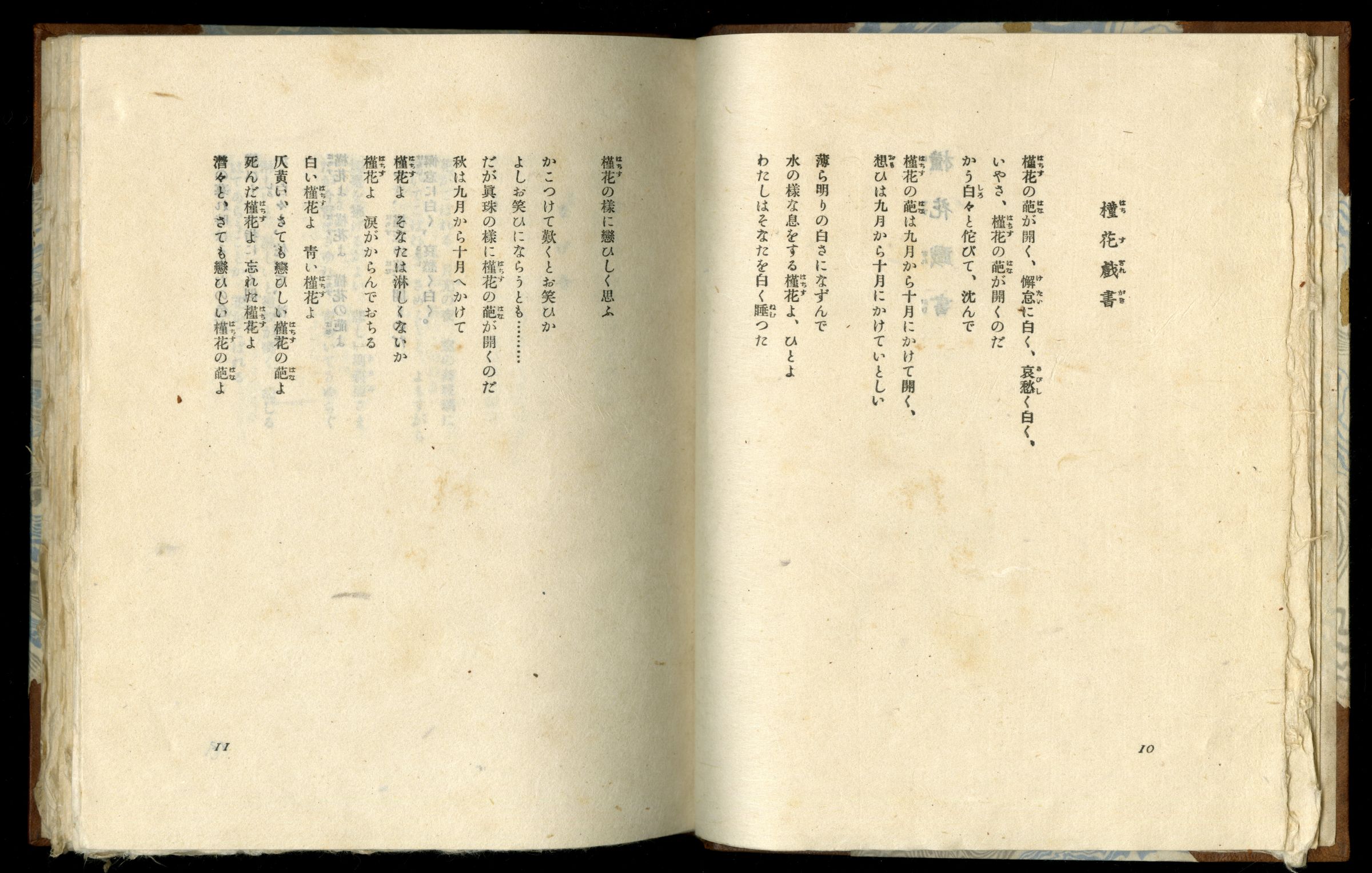 槿花戯書05